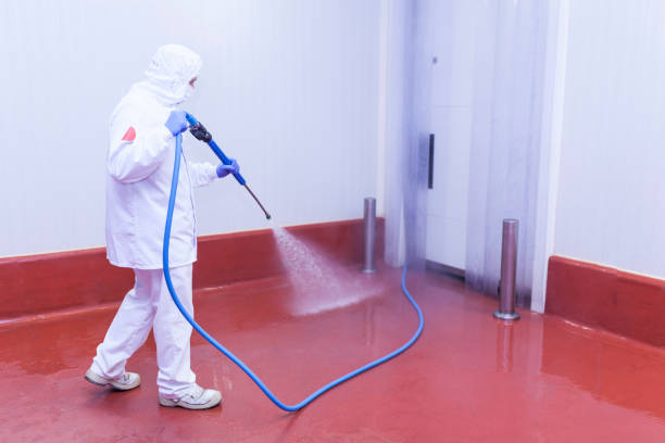 Animal Enclosure Cleaning in Santa Ana Pueblo, NM